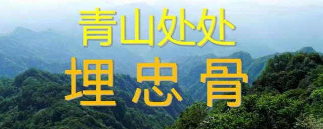 有关青山处处埋忠骨教案北大附小(青山处处埋忠骨优质课教案)