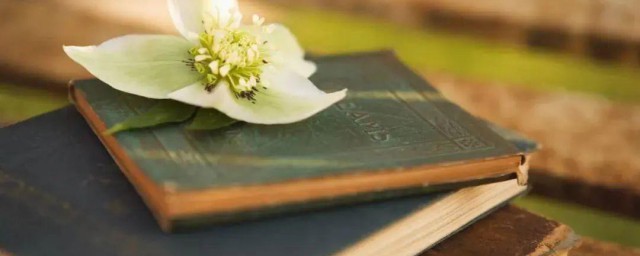 牟利和谋利表达的有什么不同(营利和谋利的区别)