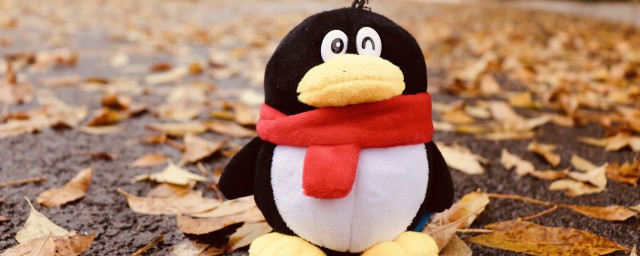 qq不加群怎么发群消息(qq群里不加好友可以发消息吗)