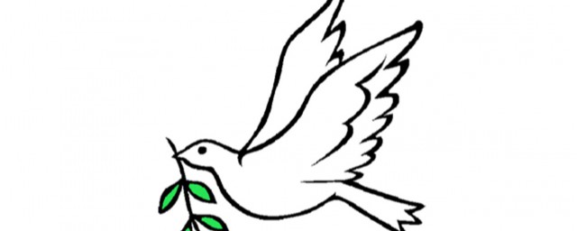 和平鸽的简单画法(和平鸽的简单画法 一笔画)