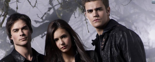 吸血鬼日记第八季最后什么意思(吸血鬼日记第八季大结局)