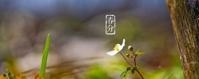 春天注意事项(春天注意事项学生)