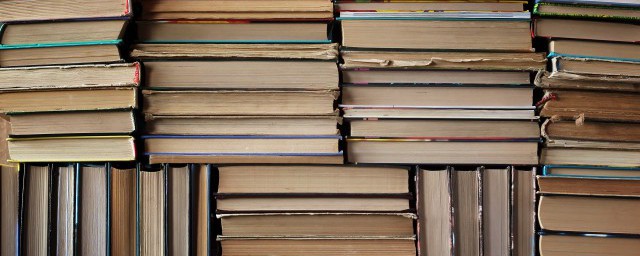 庄的意思(庄严的意思)