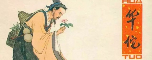 关于华佗的简单介绍(关于华佗的知识)