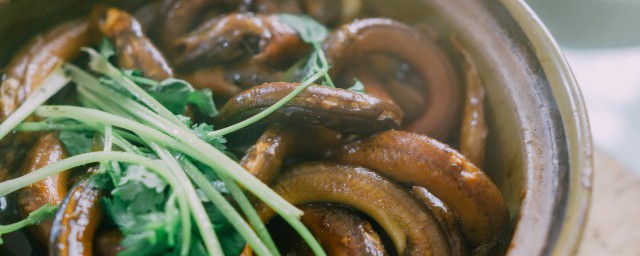 如何区别鳗鱼和鳝鱼(鳗鱼与鳝鱼区别)