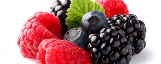 山月莓解释(山月莓果图片)