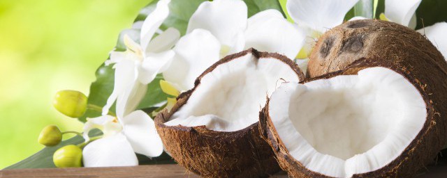 女人和椰子水有什么作用(椰子水的功效与作用什么人不适合)