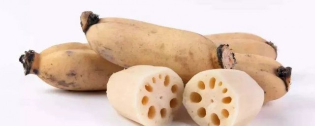 莲藕属性是什么(藕节的属性)