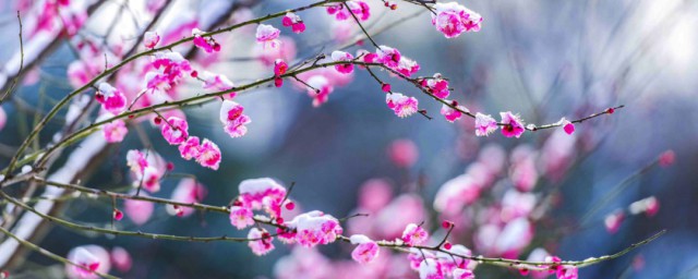 初霁的含义(初霁同义词)