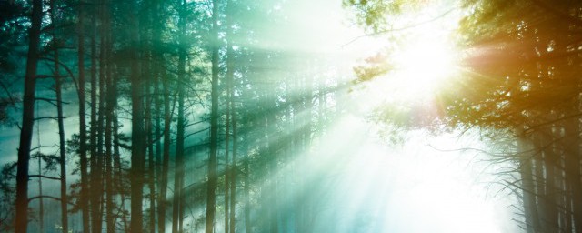 生物圈主要是由什么组成的(生物圈主要包括)