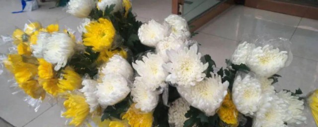 祭拜用什么花好(祭奠用什么花比较好)