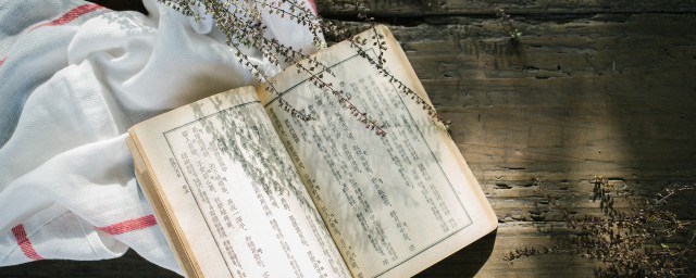 哲理解释(哲理解释许愿)