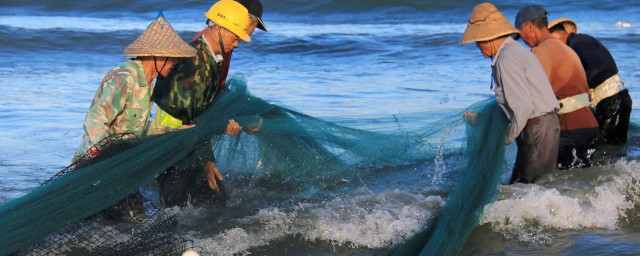 鲫鱼如何进行催产和孵化(鲫鱼产卵后怎样孵小鱼)