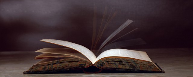 从的拼音(从的拼音是什么写)