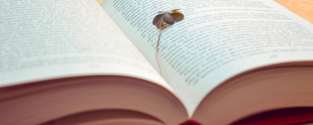 雨读法(雨读音是什么意思)