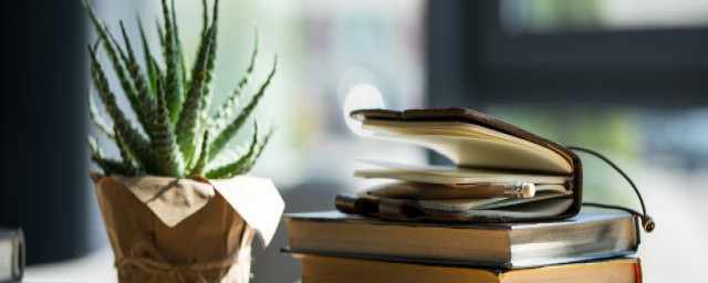 挺拔的含义(挺拔是什么)