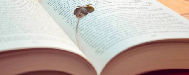 查询高考录取结果方法(查高考录取结果查询方式)