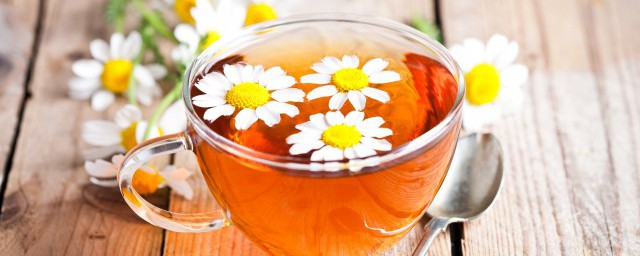 菊花茶哪些人不能喝(菊花茶哪些人不能吃)