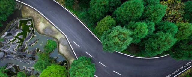 大路朝天各走一边的含义(大路朝天各走一边是什么成语意思)