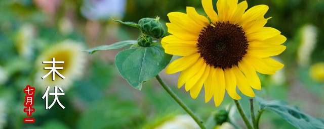 夏季的节气有哪些(立春下个节气是什么,夏季的节气有哪些)