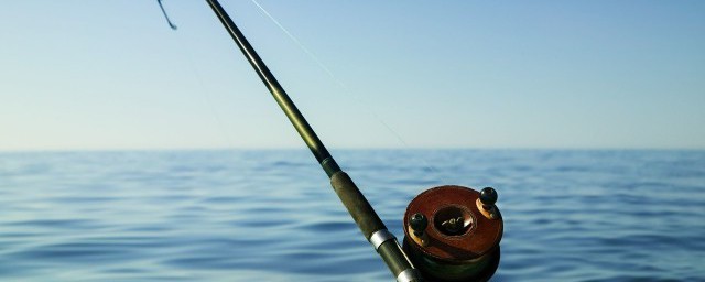 鸡肝怎么弄成鱼饵(鸡肝拌商品饵钓鱼)
