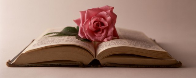 卑躬屈膝的含义(卑躬屈膝是)