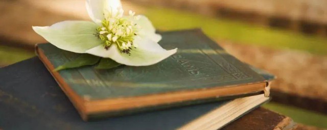 开挂的人生表达的是什么意思(开挂人生啥意思是什么)