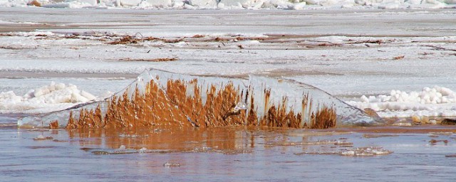 凌汛指的是什么(凌汛的定义)