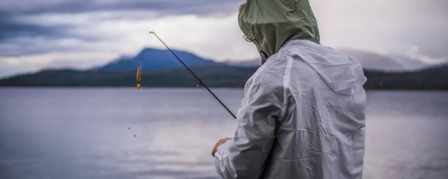 钓鲫鱼坑技巧有哪些(黑坑钓鲫鱼用什么饵料)
