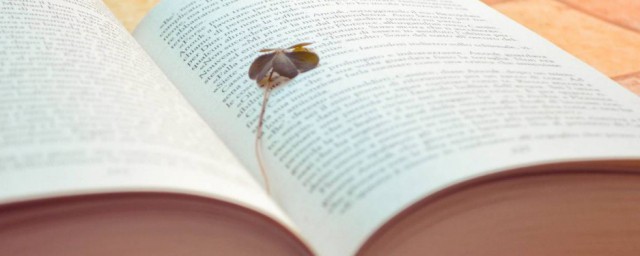 油腻大叔解释(油腻大叔是什么意思)