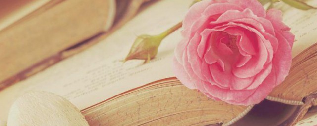 AAB式词语有什么(aab式词语什么什么的有哪些)