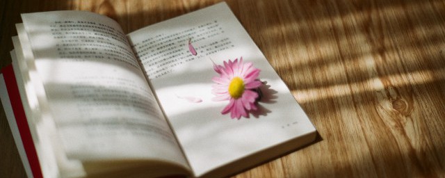 阿谀奉承的含义(奉承阿谀是什么意思)