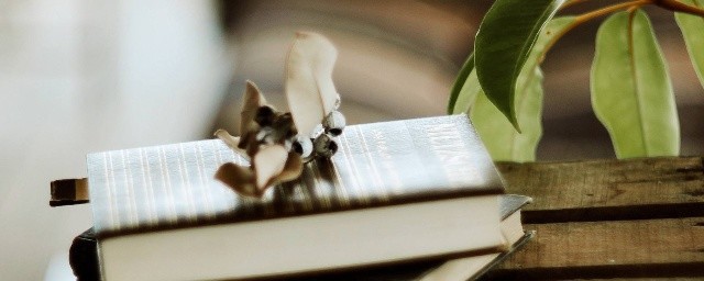 抽象名词包括什么(什么叫抽象名词?)