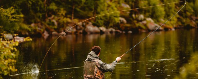 钓刺排鱼的方法是什么(鱼排上钓鱼要注意什么)