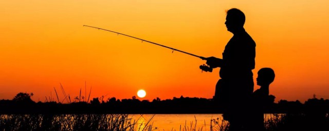 罗非鱼怎么钓(罗非鱼钓底还是钓浮)