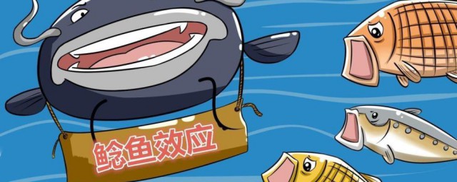 鲶鱼效应的由来(鲶鱼效应存在的来源是什么)