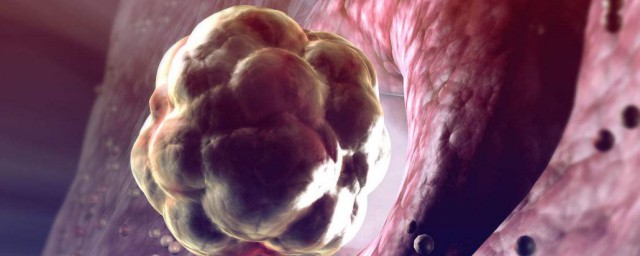 促黄体生成素简单介绍(促黄体生成素和黄体生成素)