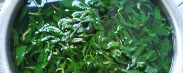 苦菜的家常吃法(苦菜怎么做好吃有几种吃法)