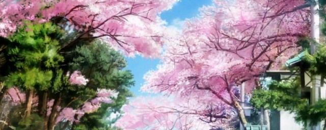 景物描写的经典片段(各种景物描写片段)