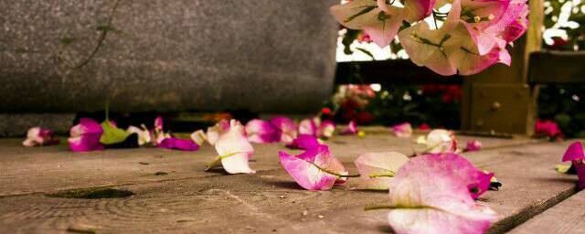 繁华落尽语句解析(什么叫繁华落尽)