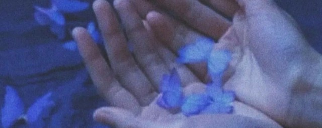 温柔治愈的文案有哪些(温柔又治愈的文案)