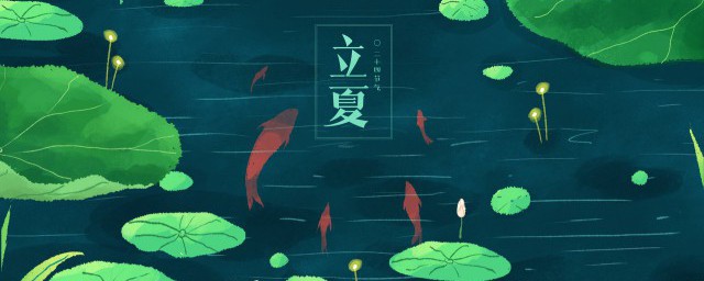 夏季节气有哪些内容(夏季的节气有哪一些)