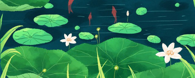 立夏节到了的中心思想是什么