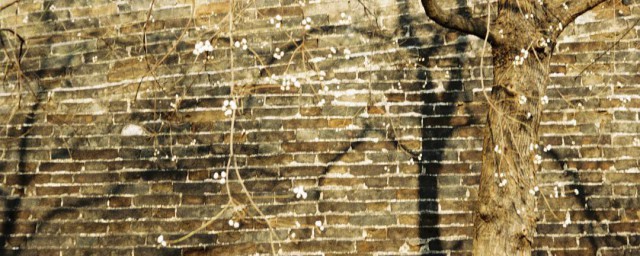 斑驳意思是什么(斑驳 意思)