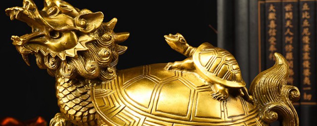 哪些人不能带个龙龟(龙龟能随身带吗)