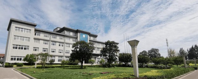 关于成语以点带面的意思(什么点带面成语)