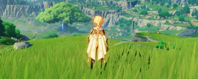 原神孔雀木获得方法(原神孔雀宝藏)