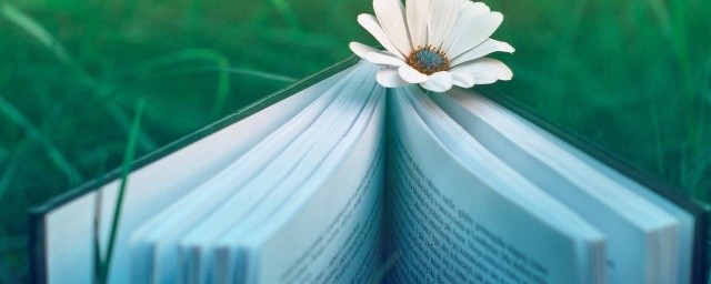 何乐而不为的释义(何乐而不为?)