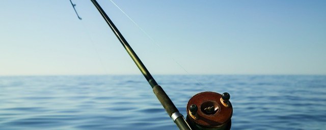 鳊鱼最佳诱鱼技巧(饵料钓鳊鱼技巧)