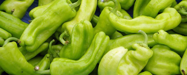 煎酿鲮鱼猪肉辣椒(尖椒酿鲮鱼)